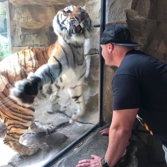 Meet your Posher, Christopher - Picture 1 of 1